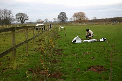 coverpic441.jpg - 21Kb