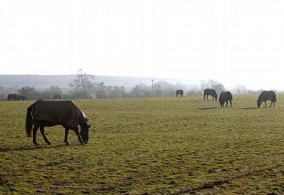 coverpic448.jpg - 19Kb