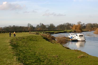 coverpic449.jpg - 20Kb