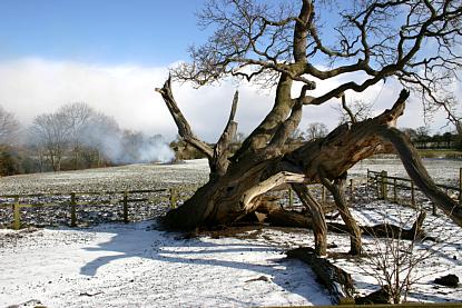 coverpic450.jpg - 36Kb