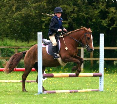 coverpic453.jpg - 29Kb