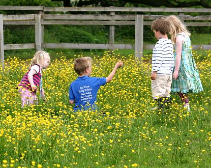 coverpic463.jpg - 48Kb