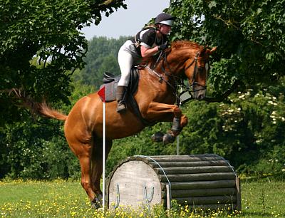 coverpic466.jpg - 37Kb