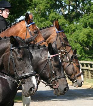 coverpic469.jpg - 27Kb