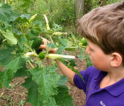 coverpic473.jpg - 39Kb