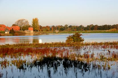 coverpic478.jpg - 25Kb