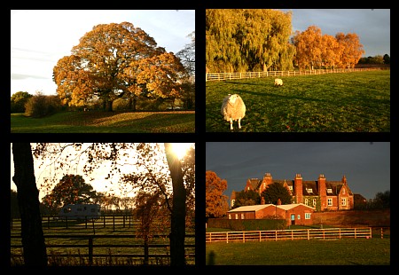 coverpic482.jpg - 58Kb