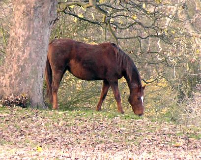 coverpic483.jpg - 44Kb