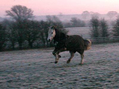 coverpic490.jpg - 20Kb