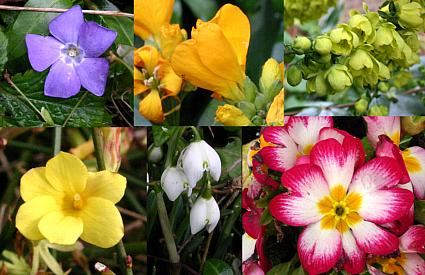 coverpic491.jpg - 33Kb