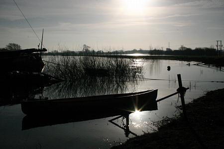 coverpic493.jpg - 18Kb