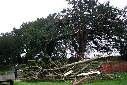 coverpic494.jpg - 37Kb