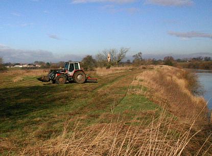 coverpic496.jpg - 25Kb