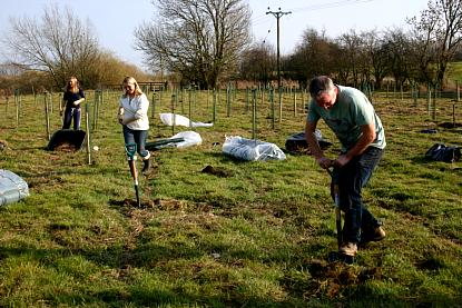 coverpic497.jpg - 38Kb