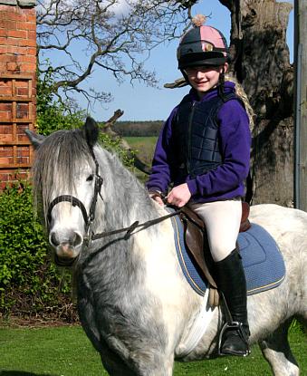 coverpic501.jpg - 39Kb