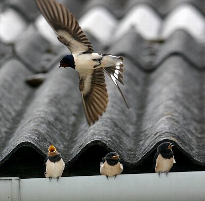 coverpic510.jpg - 23Kb