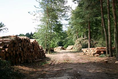 coverpic514.jpg - 34Kb