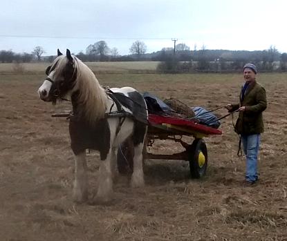 coverpic532.jpg - 22Kb