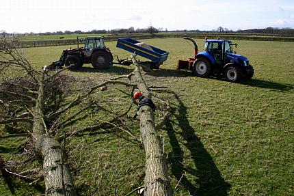 coverpic535.jpg - 37Kb