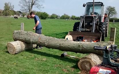 coverpic537.jpg - 29Kb