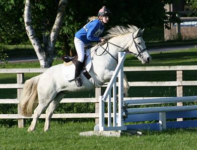 coverpic539.jpg - 29Kb