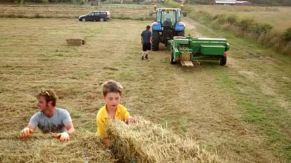 coverpic545.jpg - 26Kb