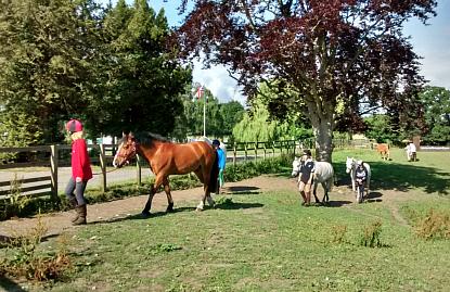 coverpic546.jpg - 42Kb