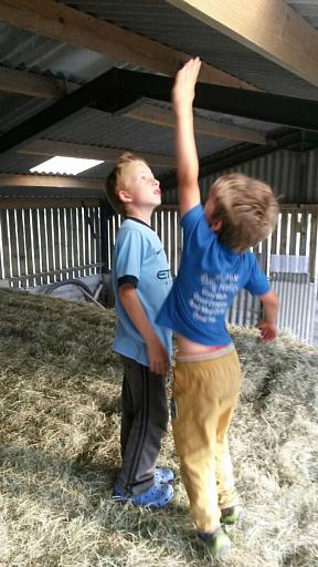 coverpic548.jpg - 34Kb