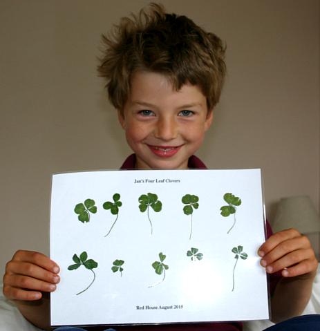 coverpic549.jpg - 20Kb