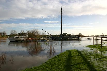 coverpic557.jpg - 19Kb