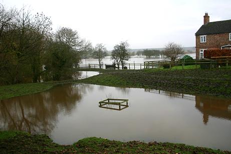 coverpic559.jpg - 24Kb