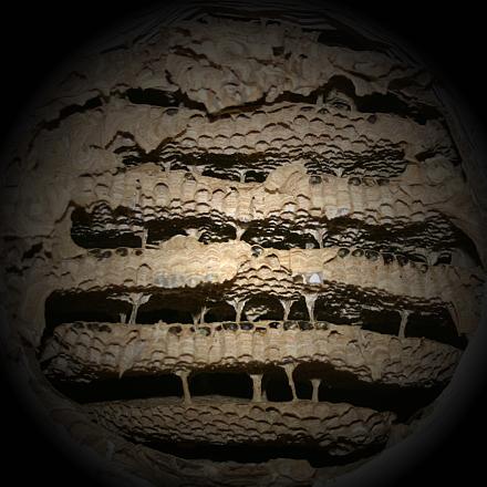 coverpic562.jpg - 34Kb