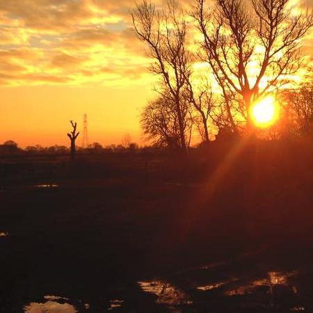 coverpic563.jpg - 29Kb