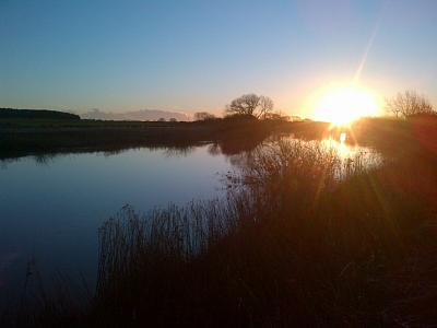 coverpic564.jpg - 10Kb