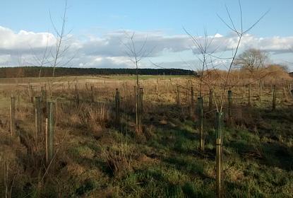 coverpic566.jpg - 22Kb