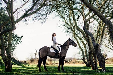 coverpic568.jpg - 48Kb