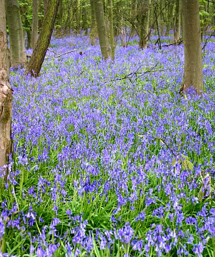 coverpic572.jpg - 92Kb