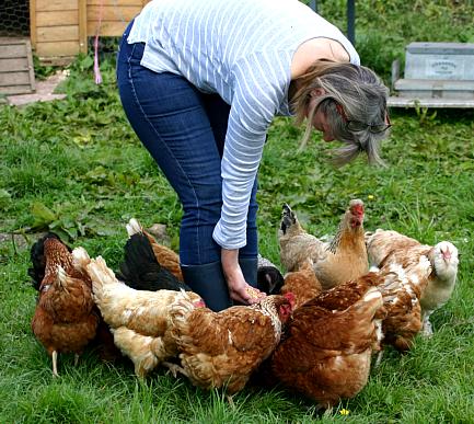 coverpic574.jpg - 51Kb