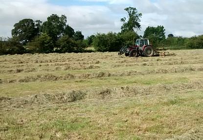 coverpic578.jpg - 30Kb