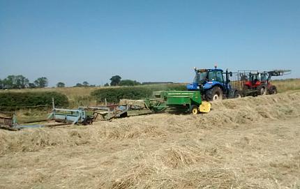 coverpic579.jpg - 20Kb