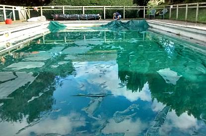 coverpic586.jpg - 29Kb