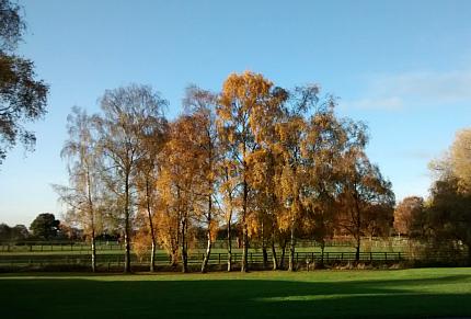 coverpic592.jpg - 25Kb