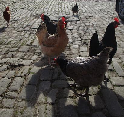 coverpic600.jpg - 37Kb