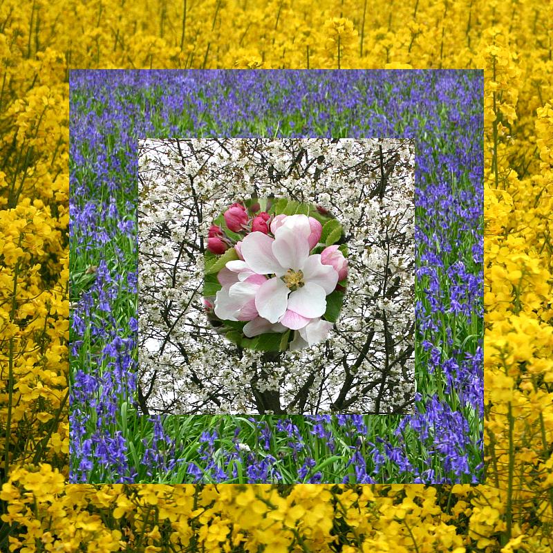 coverpic602.jpg - 210Kb