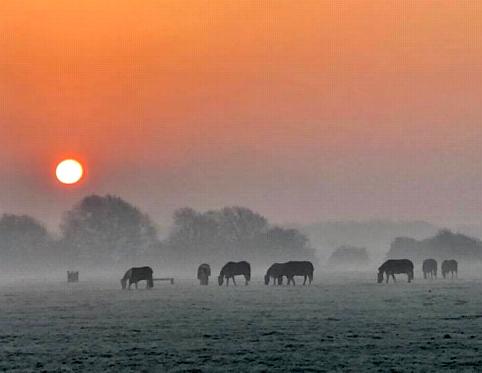 coverpic621.jpg - 16Kb