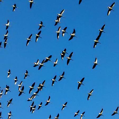 coverpic622.jpg - 23Kb