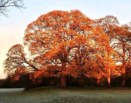 coverpic623.jpg - 52Kb