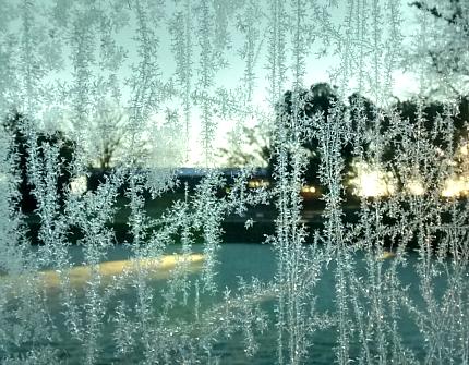 coverpic625.jpg - 48Kb