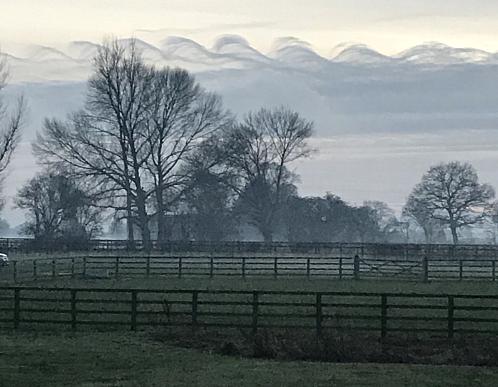 coverpic651.jpg - 33Kb