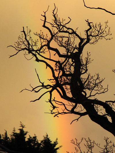 coverpic654a.jpg - 40Kb